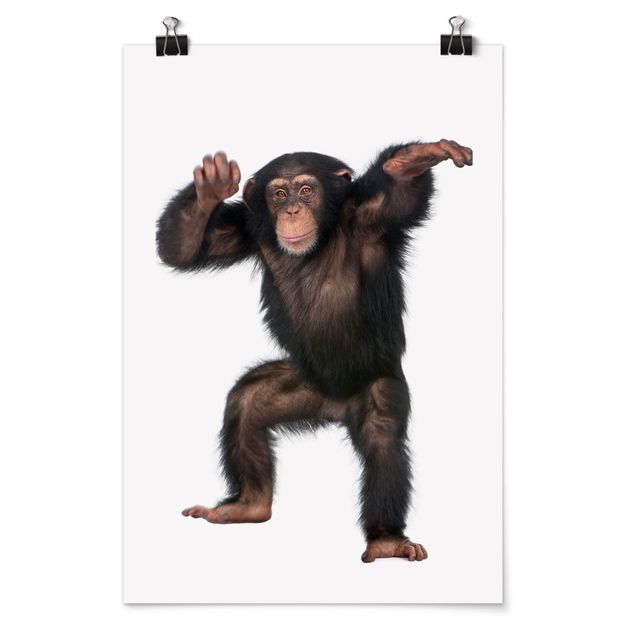 Poster con animali Scimmia Gioiosa