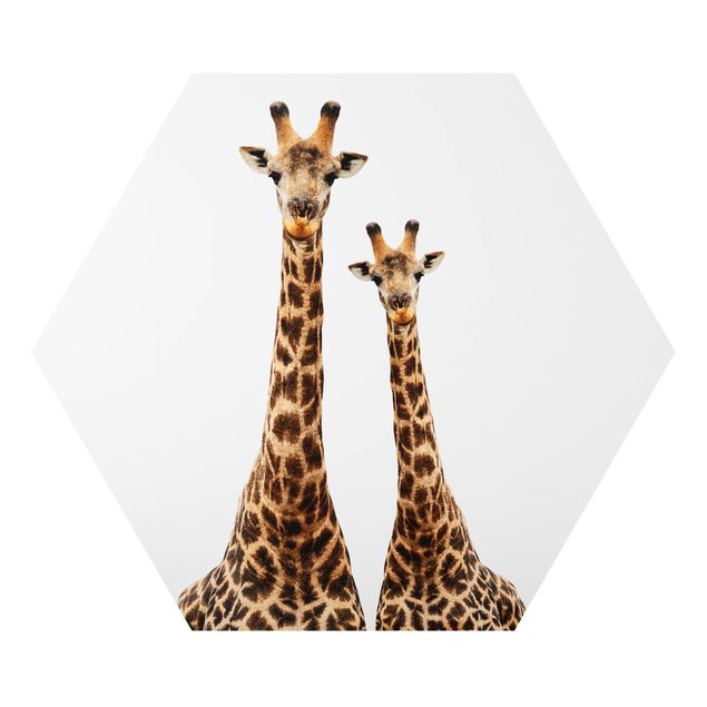Quadri stampe Portamento di due giraffe