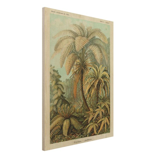 Quadri legno vintage Illustrazione botanica vintage Foglie di felci
