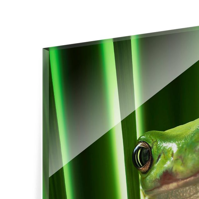 Paraschizzi in vetro - Happy Frog