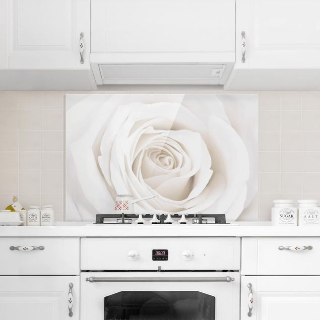 Decorazione cucina Bella rosa bianca