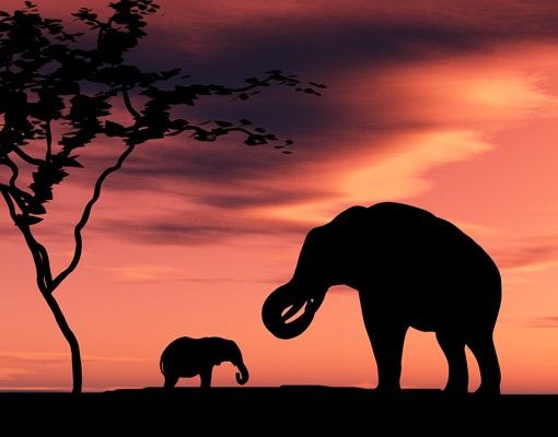 Mobili sottolavabo arancioni Famiglia di elefanti africani