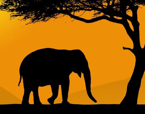 Mobili sottolavabo arancioni Elefante africano a piedi