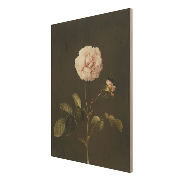 Quadri in legno con fiori Barbara Regina Dietzsch - Rosa francese con bumblbee