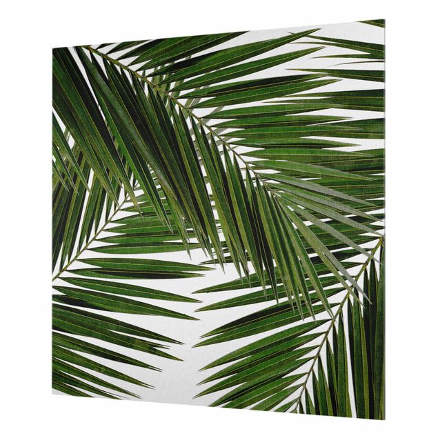Paraschizzi cucina vetro Vista attraverso le foglie di palma verde