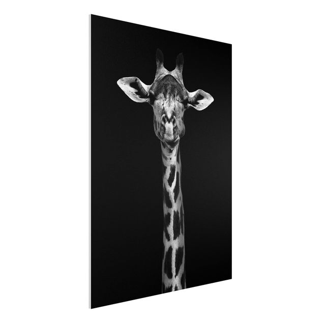 Quadro Africa Ritratto di giraffa scura