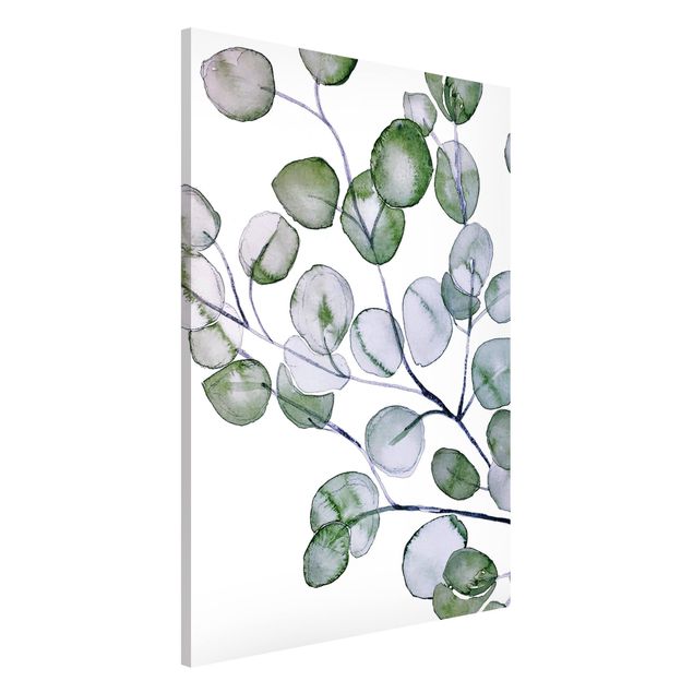 Lavagne magnetiche con fiori Ramo di eucalipto verde ad acquerello