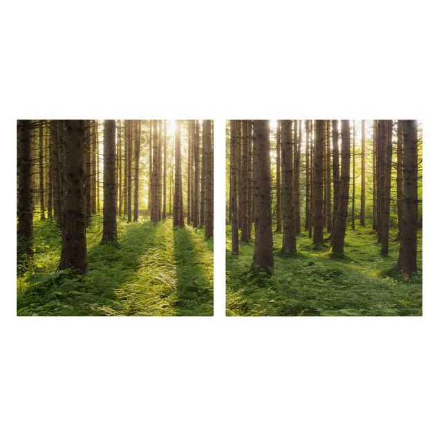 Quadri moderni   Raggi di sole nella foresta verde