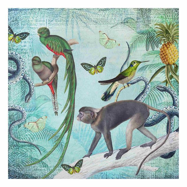 Quadri moderni   Collage in stile coloniale - Scimmie e uccelli del paradiso