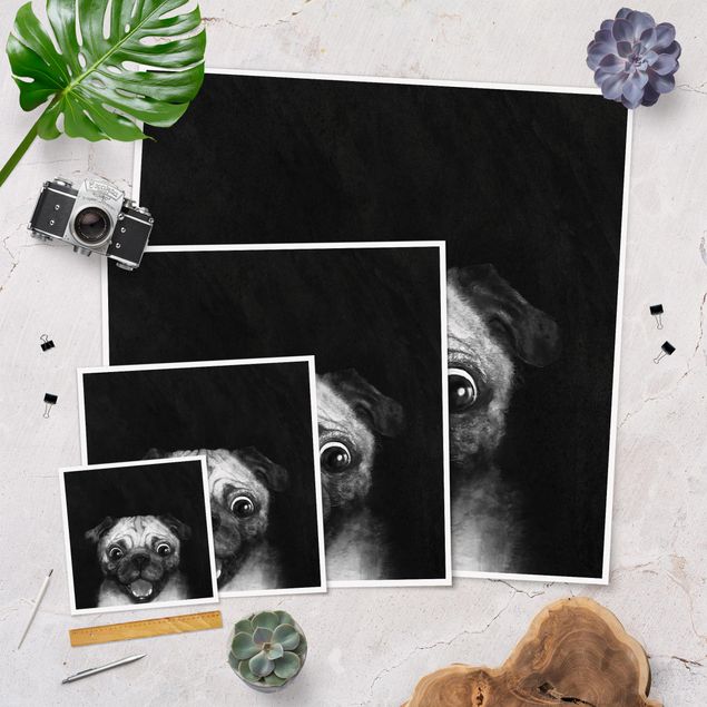 Quadri Illustrazione - cane carlino pittura su bianco e nero