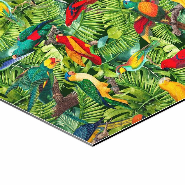 Stampe Collage colorato - Pappagalli nella giungla