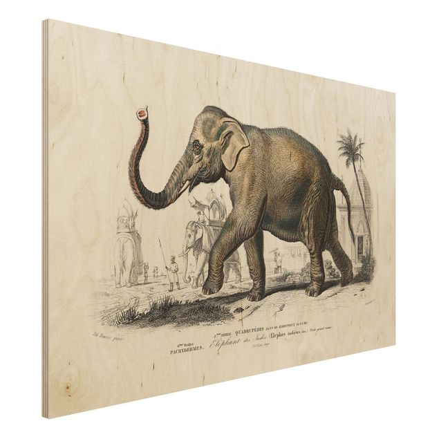 Quadri in legno con paesaggio Bacheca vintage Elefante