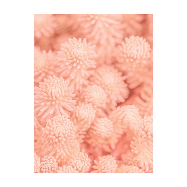 Tappeti con motivi naturali Sedum magico floreale rosa chiaro