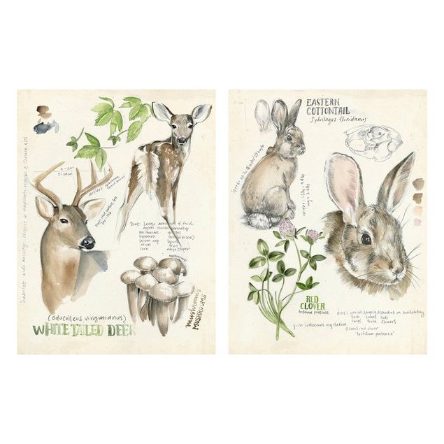 Quadri con frasi Diario della natura selvaggia - Cervi e conigli Set II