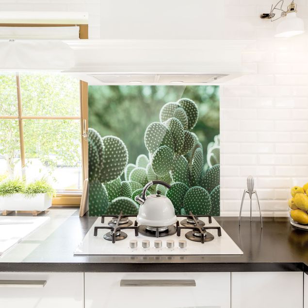 Decorazioni per cucina Cactus