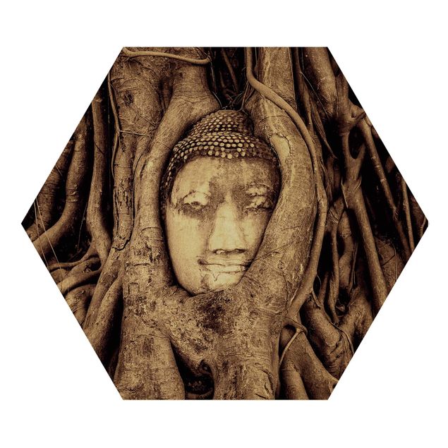 Stampe su legno Buddha ad Ayutthaya rivestito dalle radici degli alberi in marrone