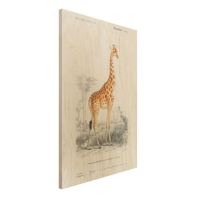 Quadri in legno vintage Bacheca vintage Giraffa