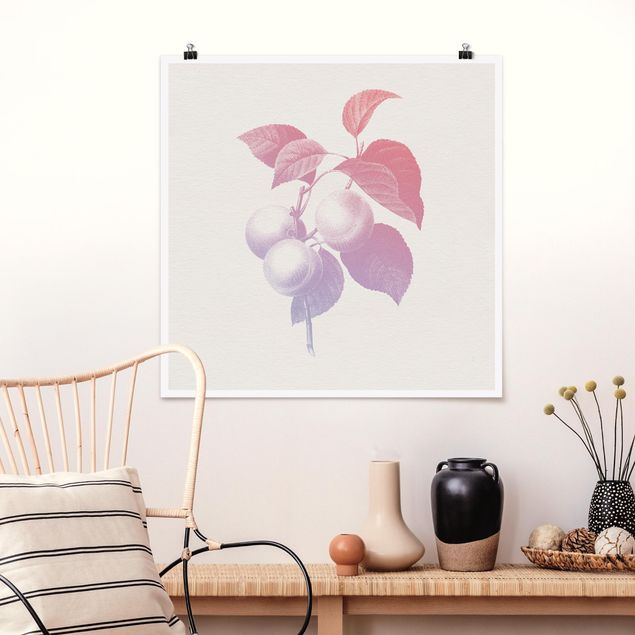 Poster retro style Botanica moderna vintage - Pesca Rosa chiaro Viola