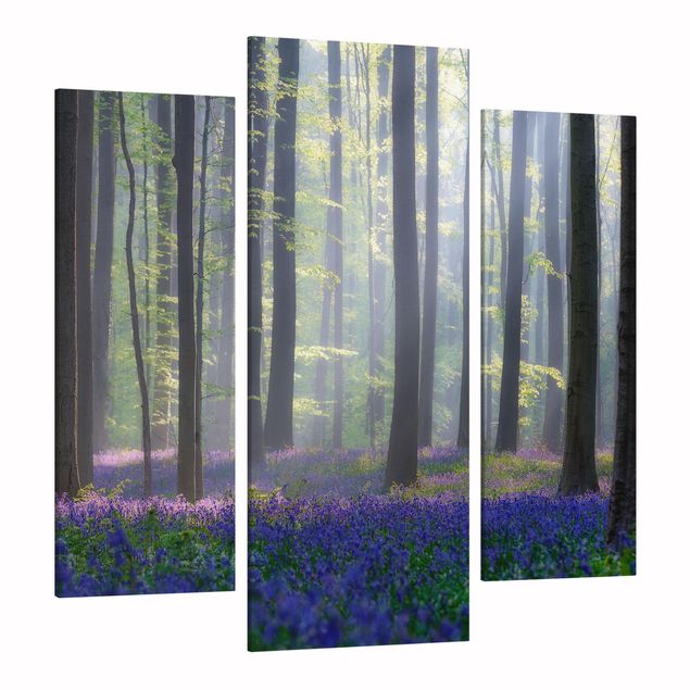 Quadro su tela componibile Giornata di primavera nella foresta
