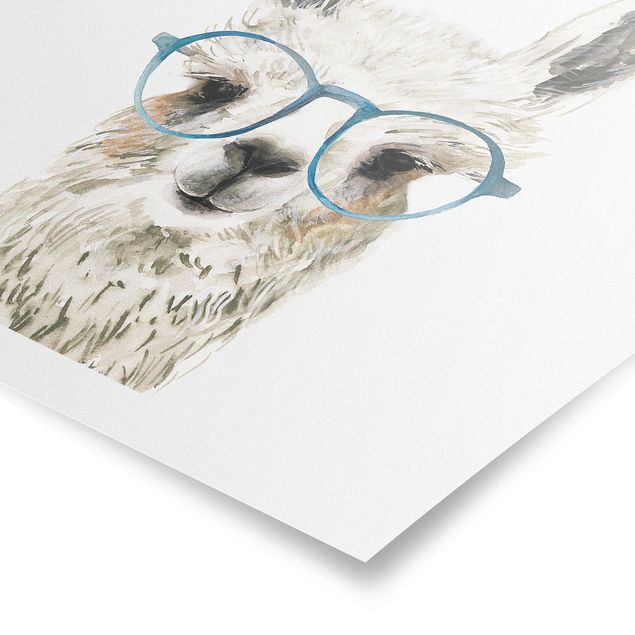 Poster animali Hip Lama con occhiali III