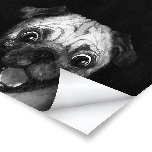 Quadri Laura Graves Art Illustrazione - cane carlino pittura su bianco e nero