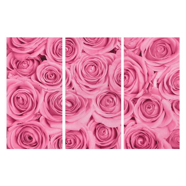 Quadri fiori Rose rosa
