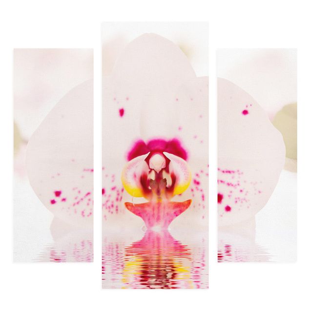 Quadri fiori Orchidea punteggiata sull'acqua