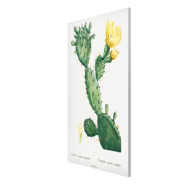 Quadri stile vintage Illustrazione botanica vintage di cactus con fiore giallo