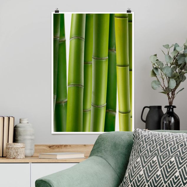 Quadro paesaggio Piante di bambù