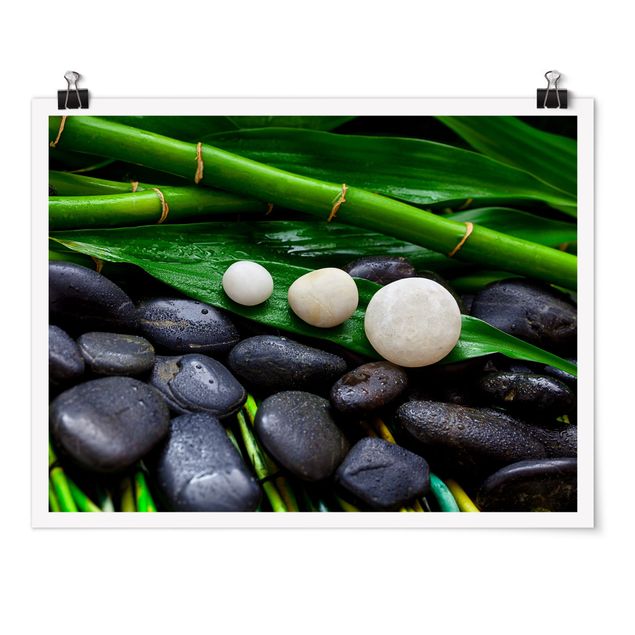 Riproduzione quadri famosi Bambù verde con pietre zen