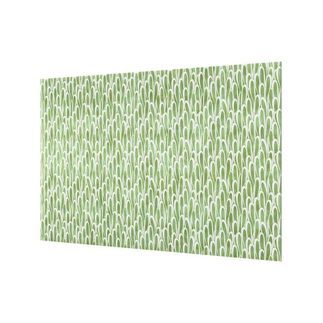 Paraschizzi in vetro - Trama naturale di piante grasse in verde - Formato orizzontale 3:2