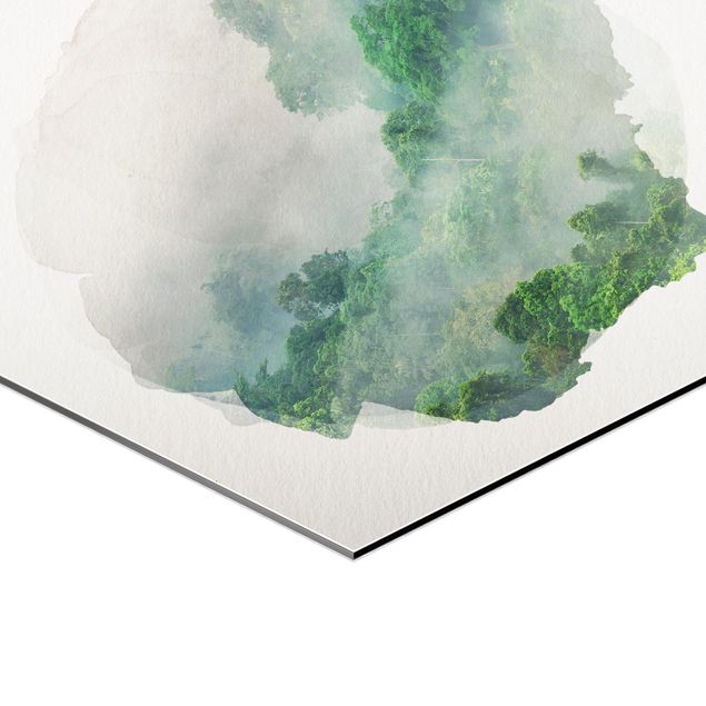 Quadri verdi Acquerelli - Giungla nella nebbia