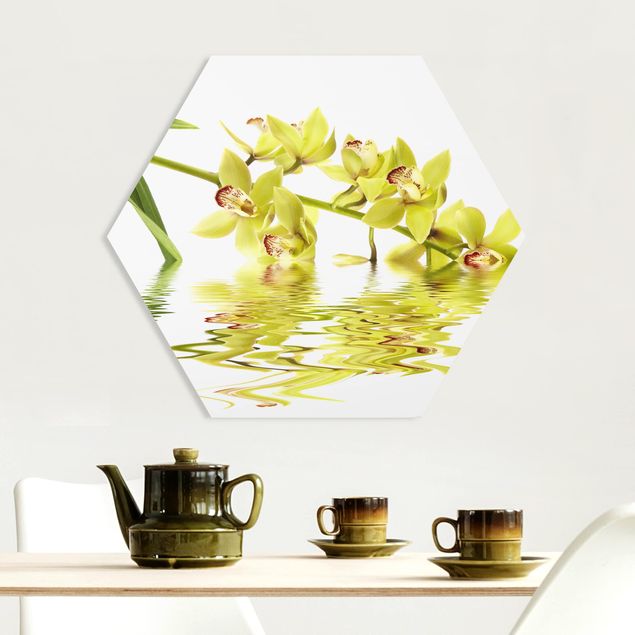 Quadri moderni   Eleganti acque di orchidea