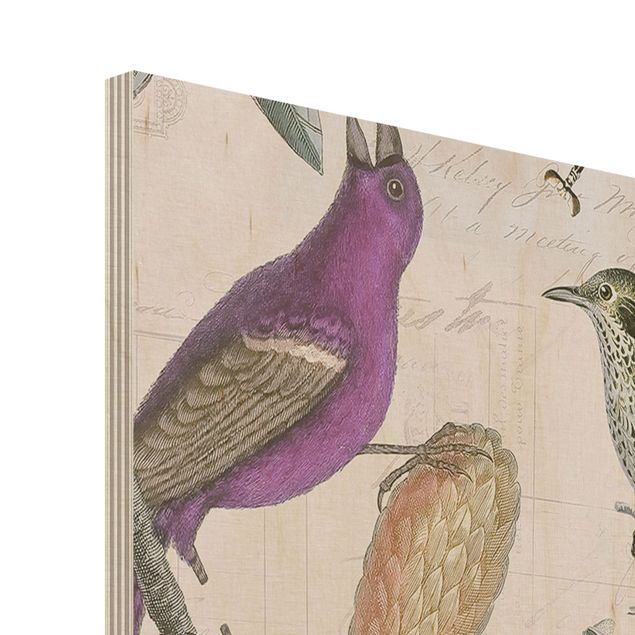 Quadri in legno Collage vintage - Uccelli nostalgici