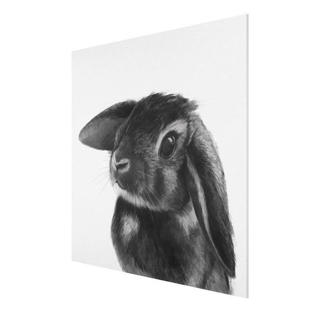 Riproduzioni quadri famosi Illustrazione - Coniglio - Disegno in bianco e nero