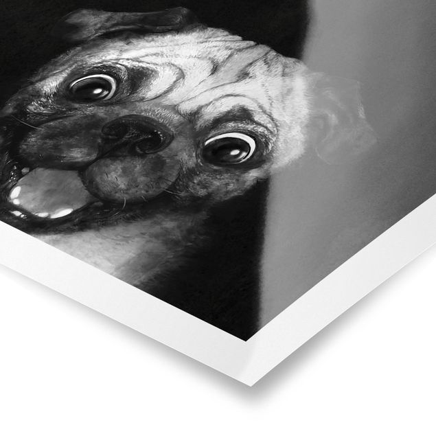 Poster bianco nero Illustrazione - cane carlino pittura su bianco e nero