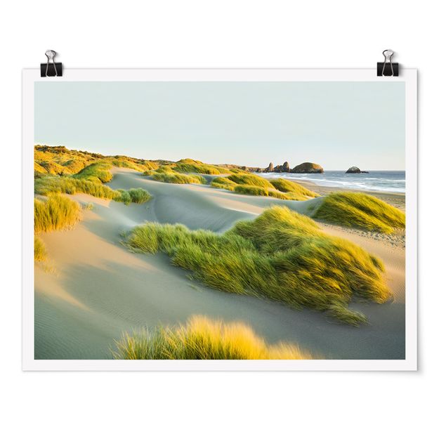 Quadro spiaggia Dune ed erbe sul mare