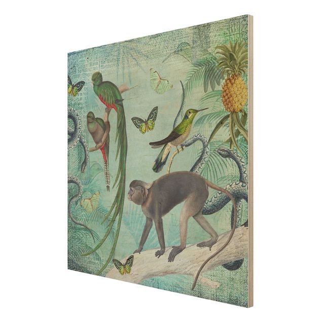 Quadri Collage in stile coloniale - Scimmie e uccelli del paradiso