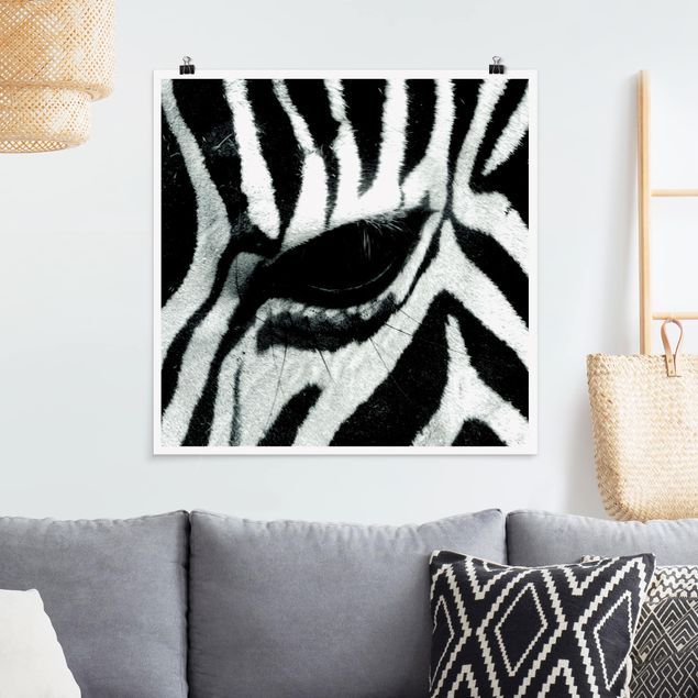 Quadri con zebre zebra