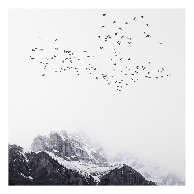 Quadro montagna Stormo di uccelli di fronte alle montagne in bianco e nero
