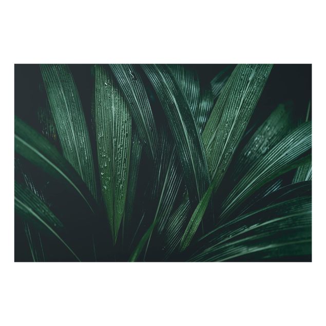 Paraschizzi in vetro - Green Palm Leaves
