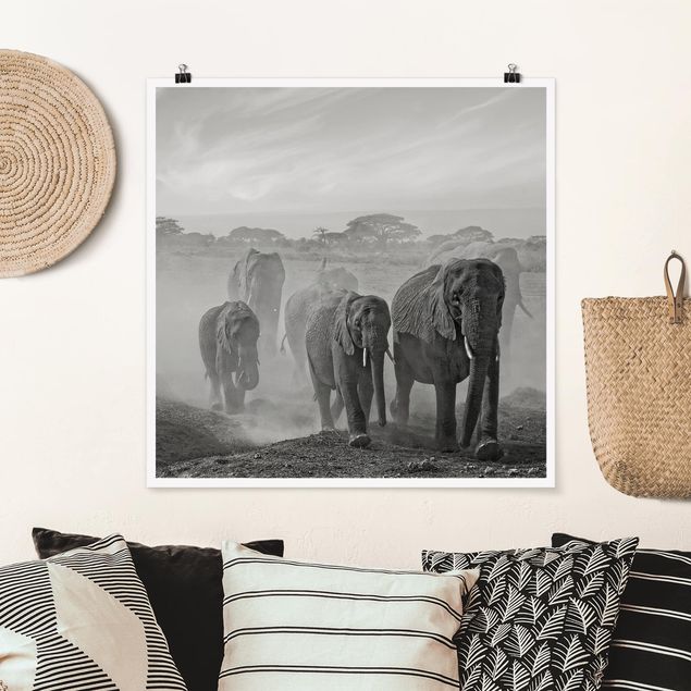 Quadro paesaggio Branco di elefanti