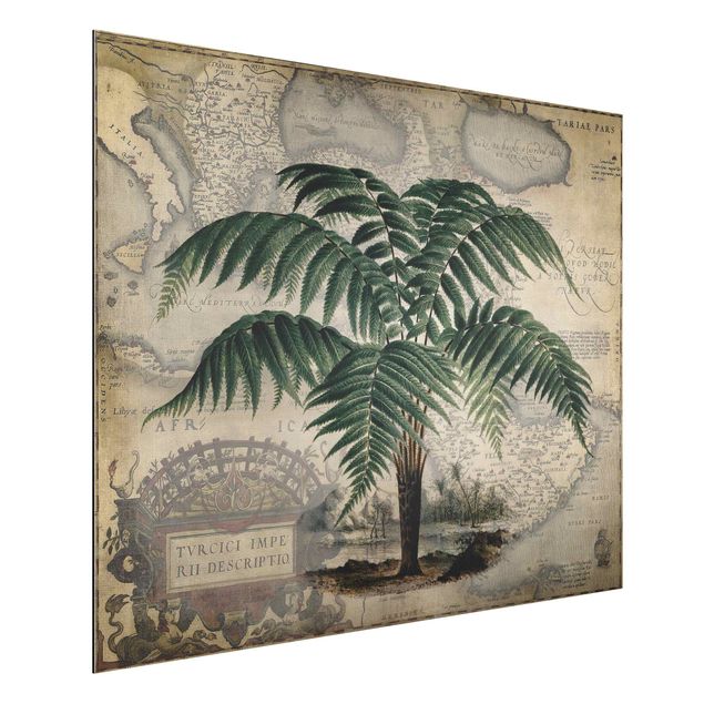 Quadro paesaggio Collage vintage - Palma e mappa del mondo