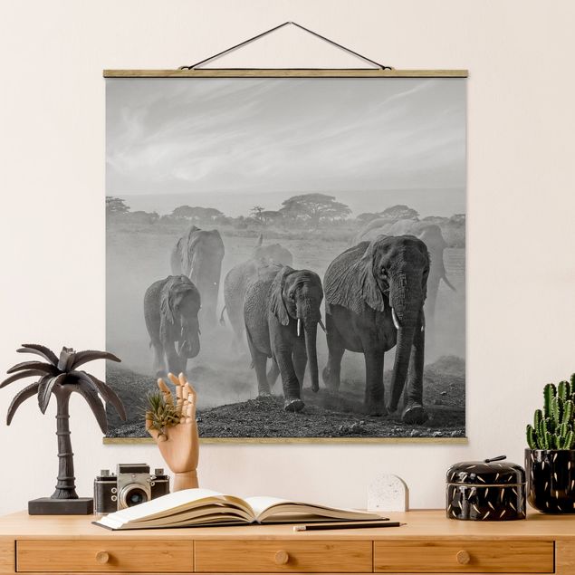 Quadri Africa Branco di elefanti