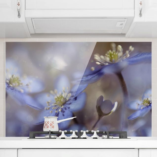Paraschizzi con fiori Anemone in blu