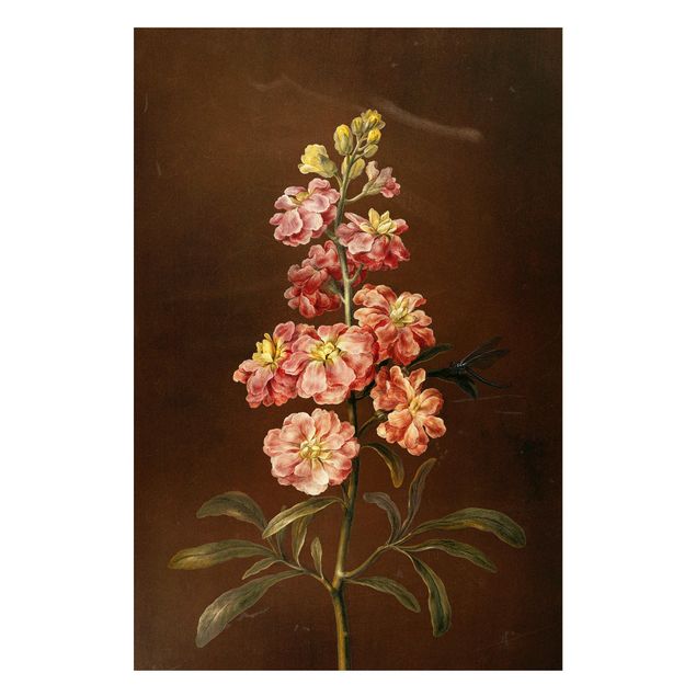 Riproduzioni quadri famosi Barbara Regina Dietzsch - Una gigliofiore rosa chiaro