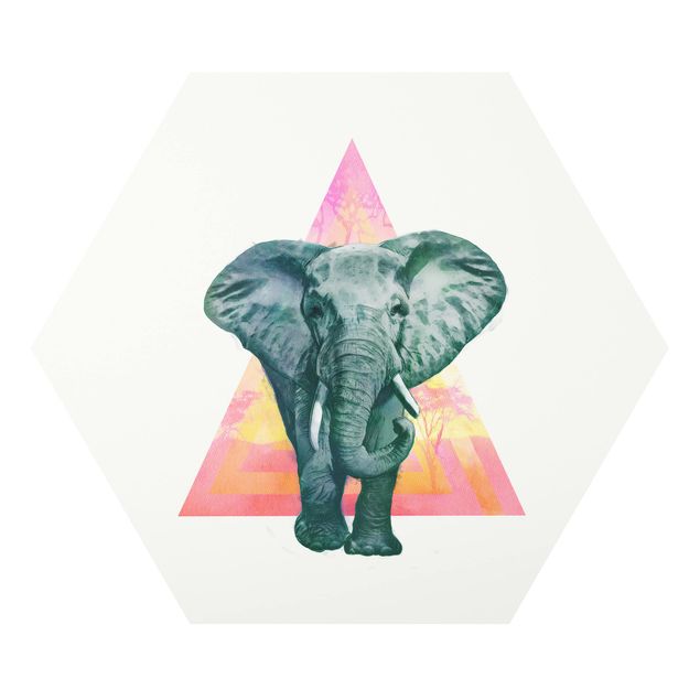 Quadro colorato Illustrazione - Elefante fronte triangolo pittura