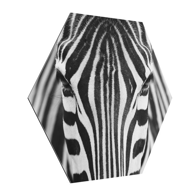Quadri bianco e nero Sguardo da zebra