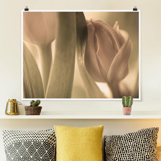 Poster - delicato tulipani - Orizzontale 3:4