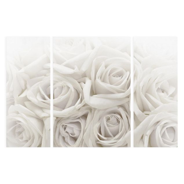 Quadri di fiori Rose bianche